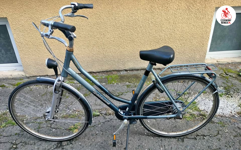 Rower miejski z piastą Shimano Nexus zaparkowany przy ścianie.